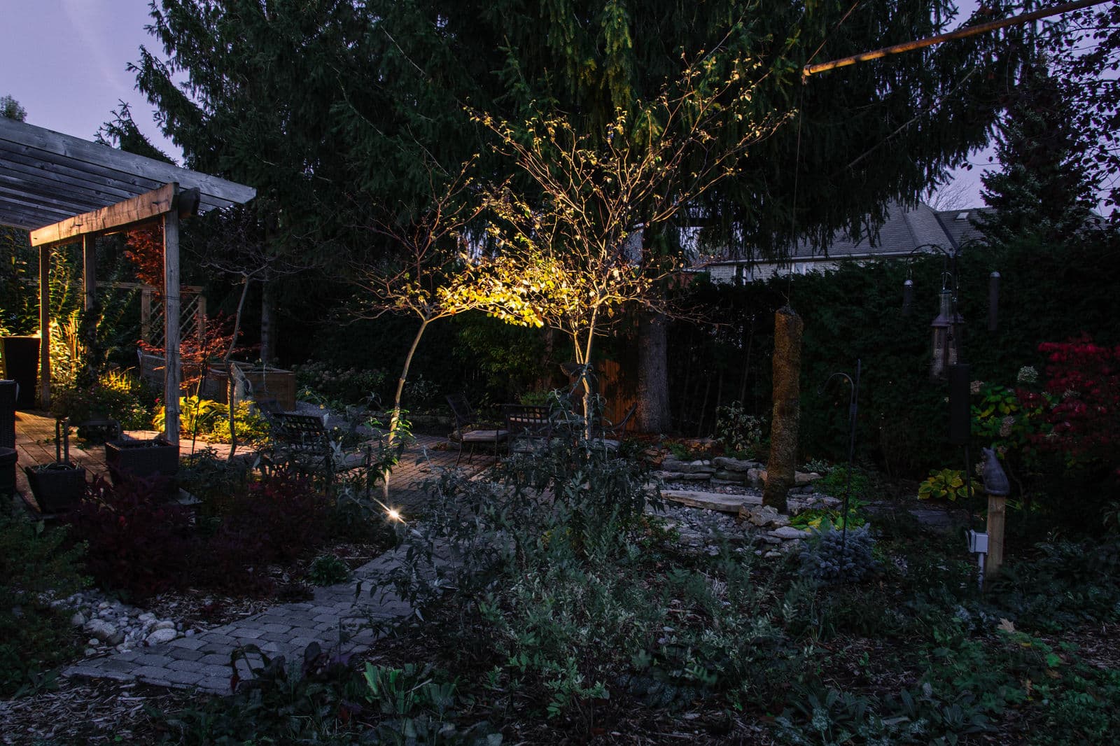 Landscape Lighting — Stellar Landscapes