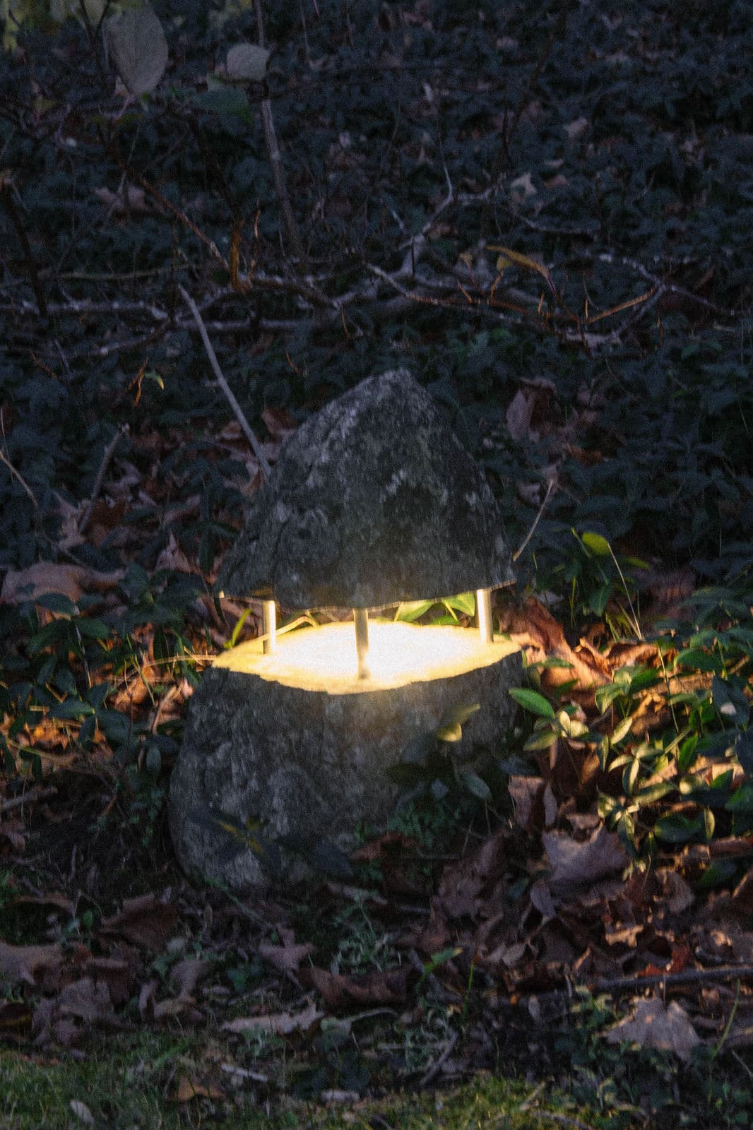 Landscape Lighting — Stellar Landscapes