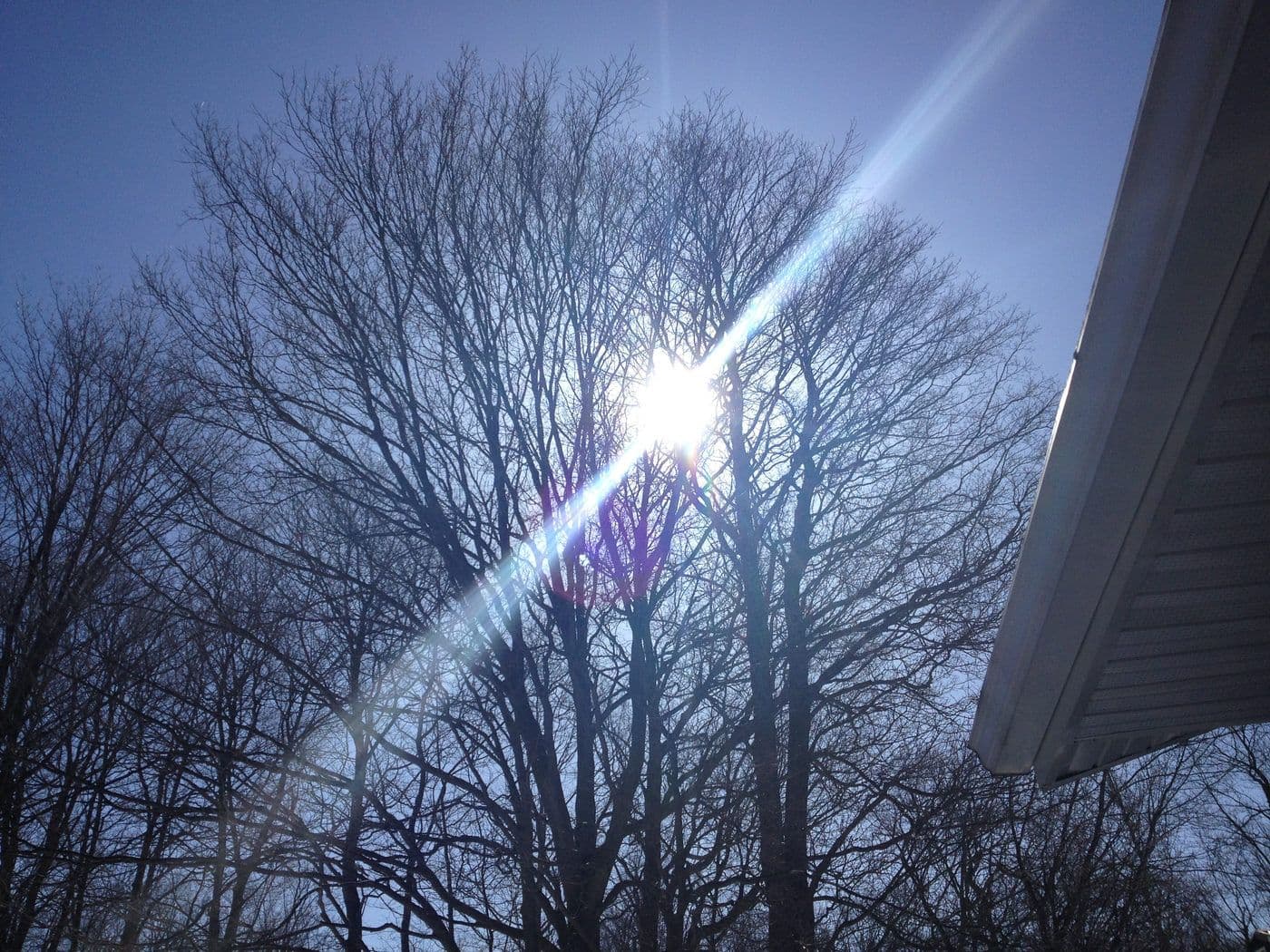 2020 VISION...not so clear after all — photograph by Stellar Landscapes