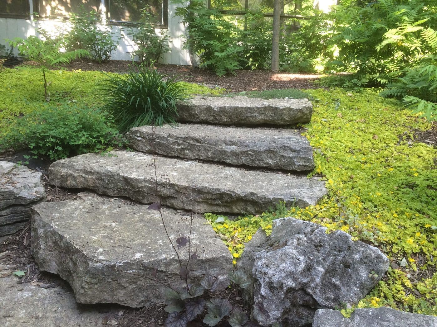 STEP THIS WAY — photograph by Stellar Landscapes
