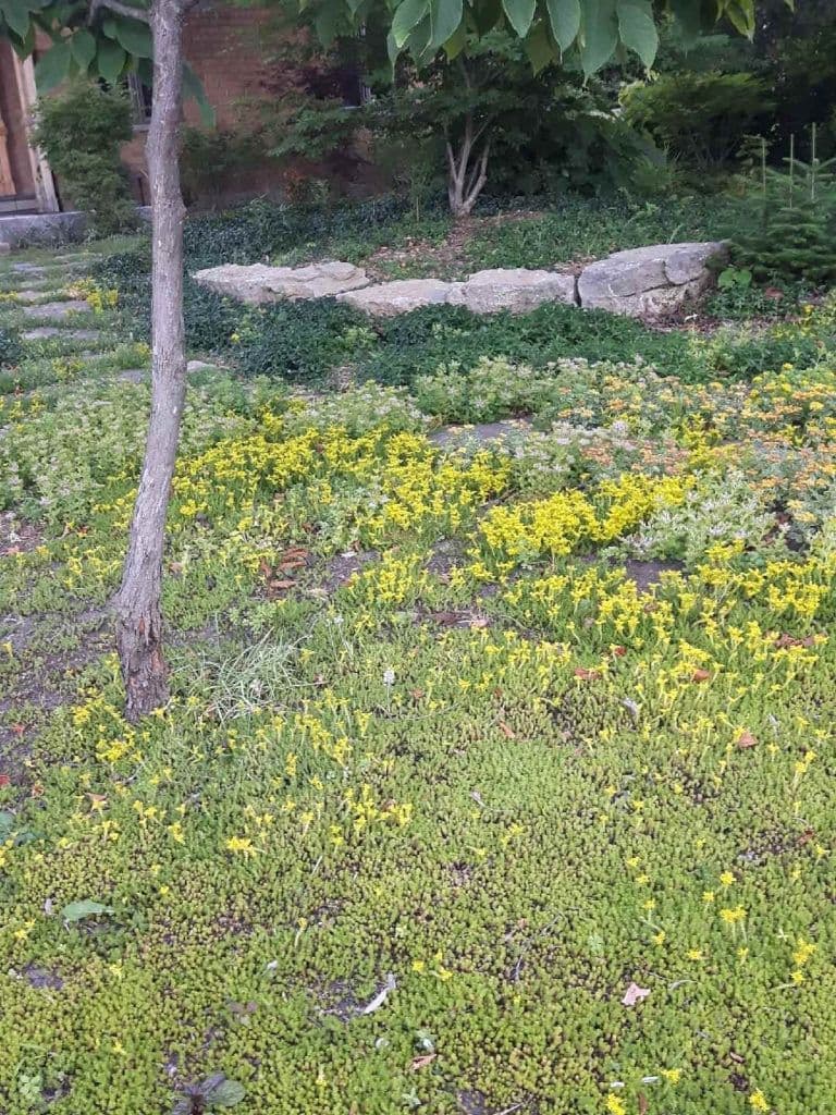 Turfgrass:time to rethink the lawn — photograph by Stellar Landscapes